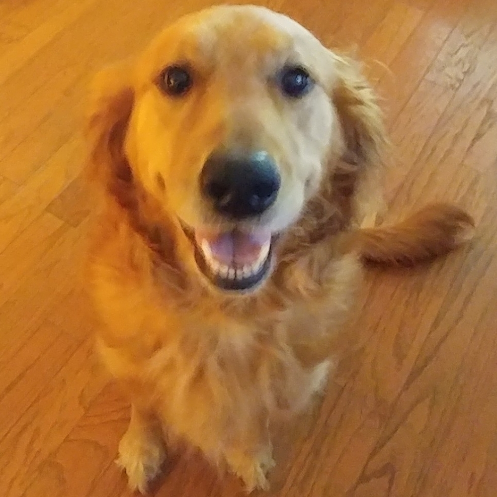 Meet your Posher, Alicia